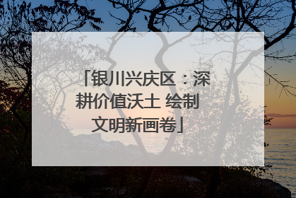 银川兴庆区：深耕价值沃土 绘制文明新画卷