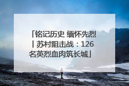 铭记历史 缅怀先烈丨苏村阻击战：126名英烈血肉筑长城