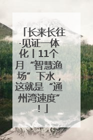长来长往·见证一体化丨11个月“智慧渔场”下水，这就是“通州湾速度”！
