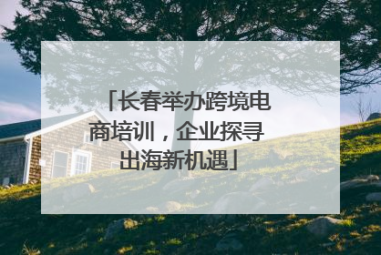 长春举办跨境电商培训，企业探寻出海新机遇