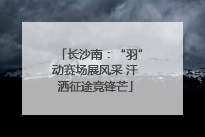 长沙南：“羽”动赛场展风采 汗洒征途竞锋芒