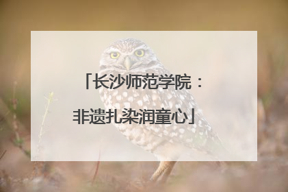 长沙师范学院：非遗扎染润童心