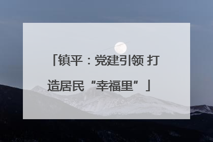 镇平：党建引领 打造居民“幸福里”