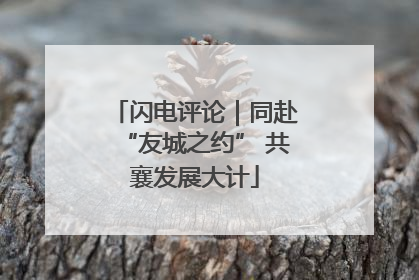 闪电评论｜同赴“友城之约” 共襄发展大计