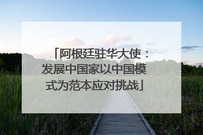 阿根廷驻华大使：发展中国家以中国模式为范本应对挑战