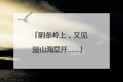 阴条岭上，又见漫山海棠开……