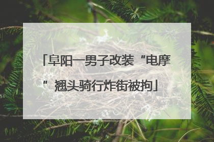 阜阳一男子改装“电摩”翘头骑行炸街被拘