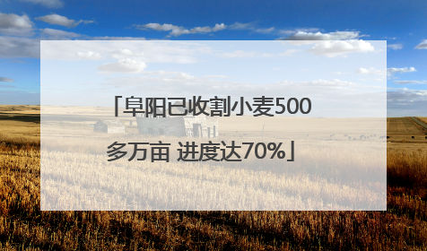 阜阳已收割小麦500多万亩 进度达70%