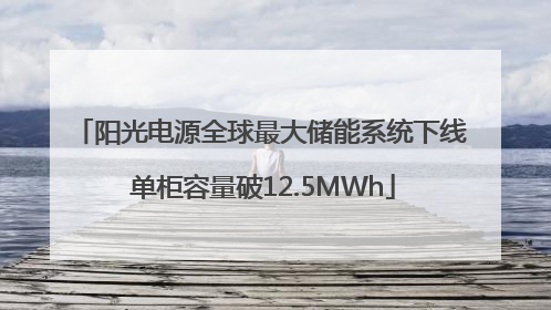 阳光电源全球最大储能系统下线 单柜容量破12.5MWh