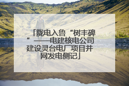 陇电入鲁“树丰碑”——电建核电公司建设灵台电厂项目并网发电侧记