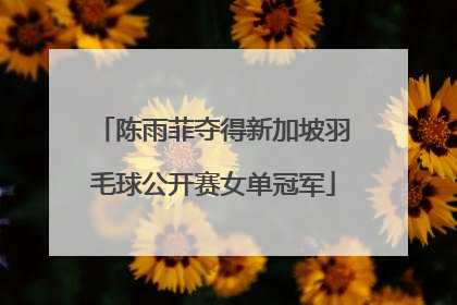 陈雨菲夺得新加坡羽毛球公开赛女单冠军