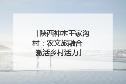 陕西神木王家沟村：农文旅融合 激活乡村活力