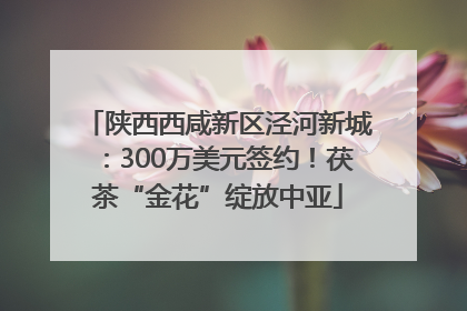 陕西西咸新区泾河新城：300万美元签约！茯茶“金花”绽放中亚