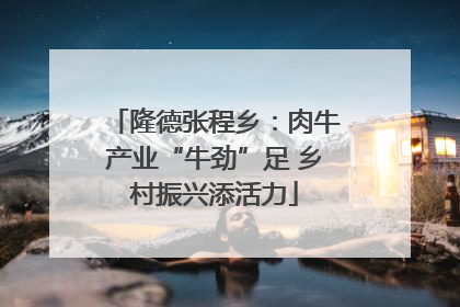 隆德张程乡：肉牛产业“牛劲”足 乡村振兴添活力