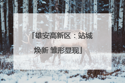 雄安高新区：站城焕新 雏形显现