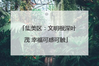 集美区：文明根深叶茂 幸福可感可触