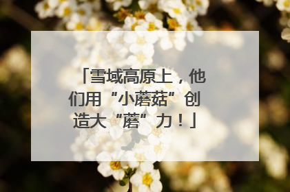 雪域高原上，他们用“小蘑菇”创造大“蘑”力！