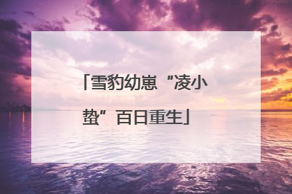 雪豹幼崽“凌小蛰”百日重生