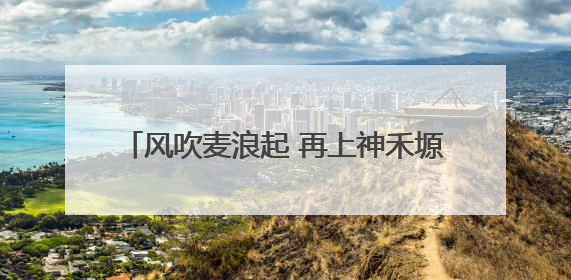 风吹麦浪起 再上神禾塬——陕西西安夏收见闻