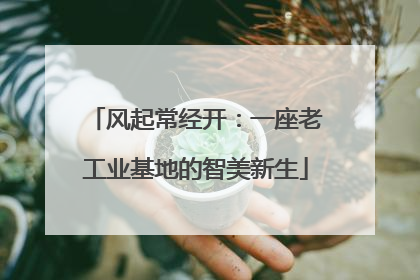 风起常经开：一座老工业基地的智美新生