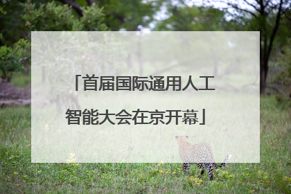 首届国际通用人工智能大会在京开幕