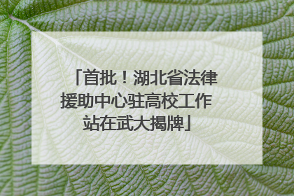 首批！湖北省法律援助中心驻高校工作站在武大揭牌