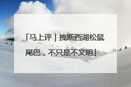 马上评｜拽断西湖松鼠尾巴，不只是不文明