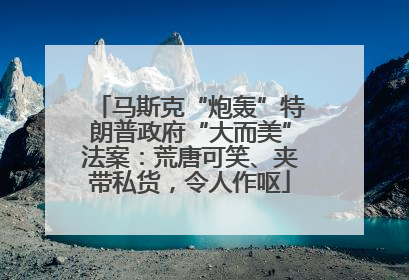 马斯克“炮轰”特朗普政府“大而美”法案：荒唐可笑、夹带私货，令人作呕