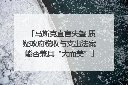 马斯克直言失望 质疑政府税收与支出法案能否兼具“大而美”