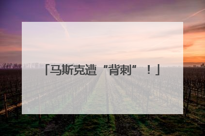 马斯克遭“背刺”！