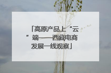 高原产品上“云”端——西藏电商发展一线观察