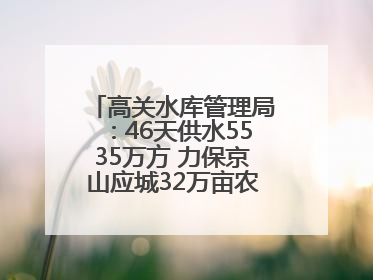 高关水库管理局：46天供水5535万方 力保京山应城32万亩农田“解渴”