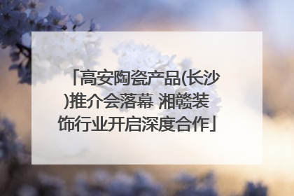 高安陶瓷产品(长沙)推介会落幕 湘赣装饰行业开启深度合作
