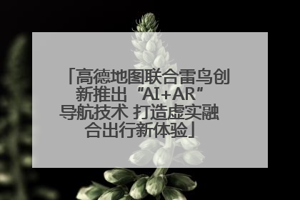 高德地图联合雷鸟创新推出“AI+AR”导航技术 打造虚实融合出行新体验