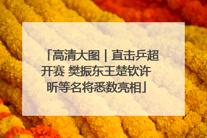 高清大图｜直击乒超开赛 樊振东王楚钦许昕等名将悉数亮相