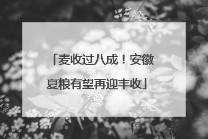 麦收过八成！安徽夏粮有望再迎丰收