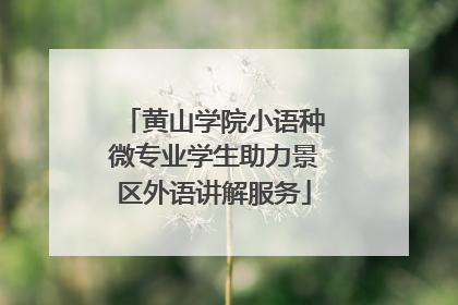 黄山学院小语种微专业学生助力景区外语讲解服务