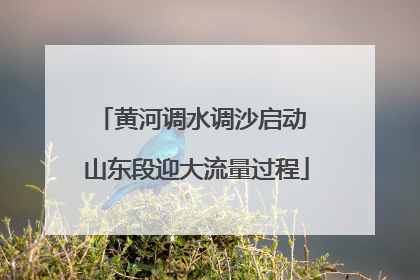黄河调水调沙启动 山东段迎大流量过程