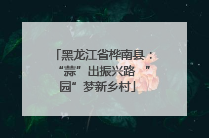 黑龙江省桦南县：“蒜”出振兴路 “园”梦新乡村
