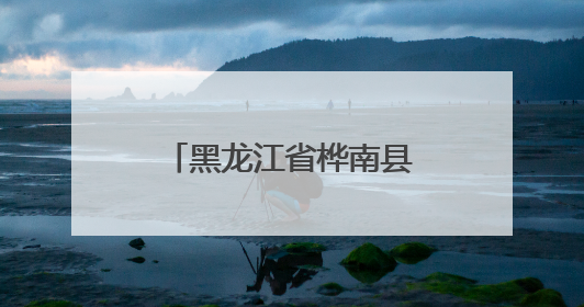 黑龙江省桦南县：科技人才驱动 赋能产业促发展