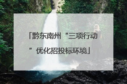 黔东南州“三项行动”优化招投标环境