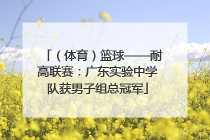 （体育）篮球——耐高联赛：广东实验中学队获男子组总冠军