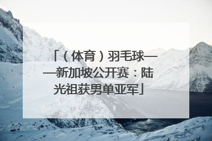 （体育）羽毛球——新加坡公开赛：陆光祖获男单亚军