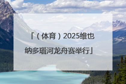（体育）2025维也纳多瑙河龙舟赛举行
