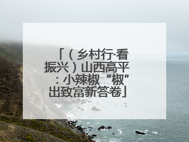 （乡村行·看振兴）山西高平：小辣椒“椒”出致富新答卷