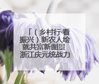 （乡村行·看振兴）新农人绘就共富新图景 浙江庆元统战力量赋能“海拔经济”