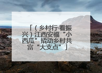 （乡村行·看振兴）江西安福“小西瓜”撬动乡村共富“大支点”