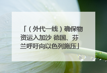 （外代一线）确保物资运入加沙 德国、芬兰呼吁向以色列施压