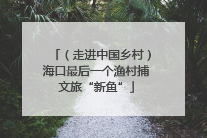 （走进中国乡村）海口最后一个渔村捕文旅“新鱼”