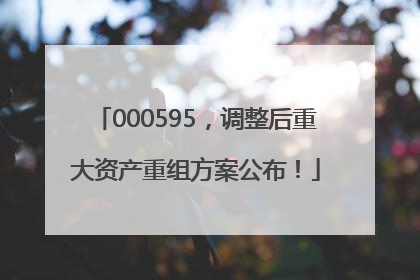 000595，调整后重大资产重组方案公布！
